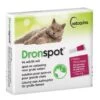 Vetoquinol Dronspot Grote Kat 96 Mg / 24 Mg - 5 T/m 8 Kg - 2 Pipetten 1 Vetoquinol Dronspot Grote Kat 96 Mg / 24 Mg - 5 T/m 8 Kg - 2 Pipetten -Dieren Product Winkel dronspot grote kat 96 mg 24 mg 5 tm 8 kg 2 pipetten