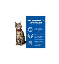 Hill's PD C/D Multicare Urinary Care Stoofpotje Met Kip & Groente - 24 X 82 Gram 10 Hill's PD C/D Multicare Urinary Care Stoofpotje Met Kip & Groente - 24 X 82 Gram -Dieren Product Winkel hill s pd cd multicare urinary care stoofpotje met kip groente 24 x 82 gram 3