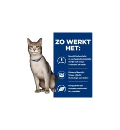 Hill's Prescription Diet K/D Kidney Care Met Tonijn - 1.5 Kg 15 Hill's Prescription Diet K/D Kidney Care Met Tonijn - 1.5 Kg -Dieren Product Winkel hill s prescription diet kd kidney care met tonijn 3