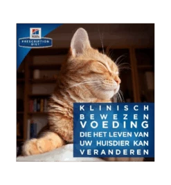 Hill's Prescription Diet T/D Dental Care 11 Hill's Prescription Diet T/D Dental Care -Dieren Product Winkel hill s prescription diet td dental care 2