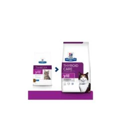Dieren Product Winkel -Dieren Product Winkel hill s prescription diet yd thyroid care 1