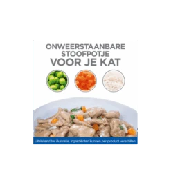 Hill's Science Plan Healthy Cuisine Volwassen Kat Stoofpotje Kip & Zalm - 4 X 12 X 80 Gram -Dieren Product Winkel hill s science plan healthy cuisine volwassen kat stoofpotje kip zalm 4 x 12 x 80 gram 2