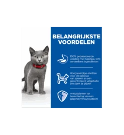 Hill's Science Plan Sterilised Kitten Met Kip 9 Hill's Science Plan Sterilised Kitten Met Kip -Dieren Product Winkel hill s science plan sterilised kitten met kip 3