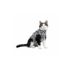 Medical Pet Shirt (Kat / Zebraprint) 2 Medical Pet Shirt (Kat / Zebraprint) -Dieren Product Winkel medical pet shirt kat zebraprint