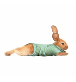 Medical Pet Shirt (Konijn) 6 Medical Pet Shirt (Konijn) -Dieren Product Winkel medical pet shirt konijn groen 1