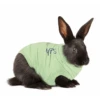 Medical Pet Shirt (Konijn) -Dieren Product Winkel medical pet shirt konijn groen