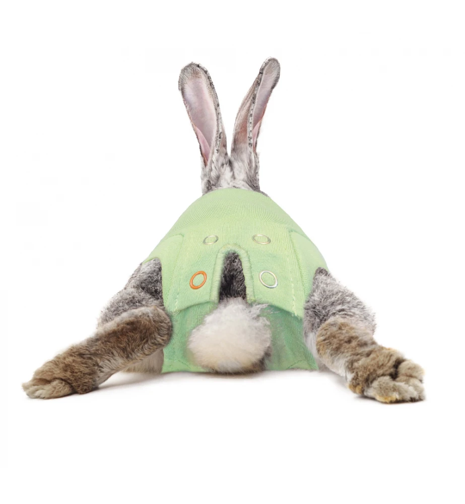 Medical Pet Shirt (Konijn) 5 Medical Pet Shirt (Konijn) - Afbeelding 3