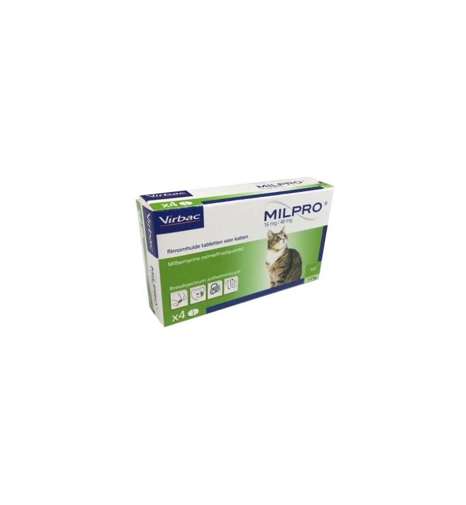 Milpro Grote Kat (+ 2 Kg) 3 Milpro Grote Kat (+ 2 Kg)