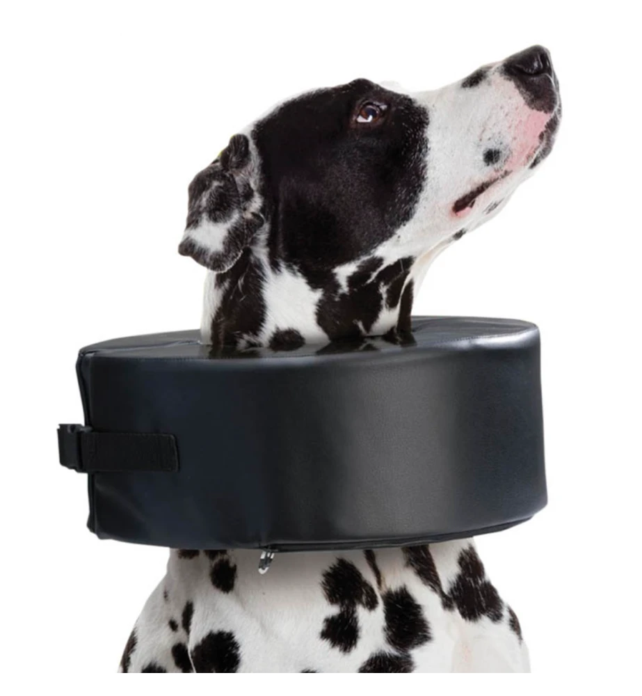 Moon Collar (Schuimkraag) 4 Moon Collar (Schuimkraag) - Afbeelding 2