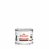Royal Canin Gastro Intestinal Kitten Blik - 12 X 195 Gram 1 Royal Canin Gastro Intestinal Kitten Blik - 12 X 195 Gram -Dieren Product Winkel royal canin gastro intestinal kitten blik 12 x 195 gram