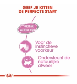 Royal Canin Mother & Babycat Mousse - 12 X 195 Gram 11 Royal Canin Mother & Babycat Mousse - 12 X 195 Gram -Dieren Product Winkel royal canin mother babycat mousse 12 x 195 gram 3