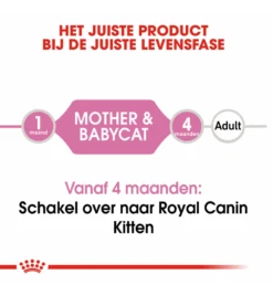 Royal Canin Mother & Babycat Mousse - 12 X 195 Gram 12 Royal Canin Mother & Babycat Mousse - 12 X 195 Gram -Dieren Product Winkel royal canin mother babycat mousse 12 x 195 gram 4