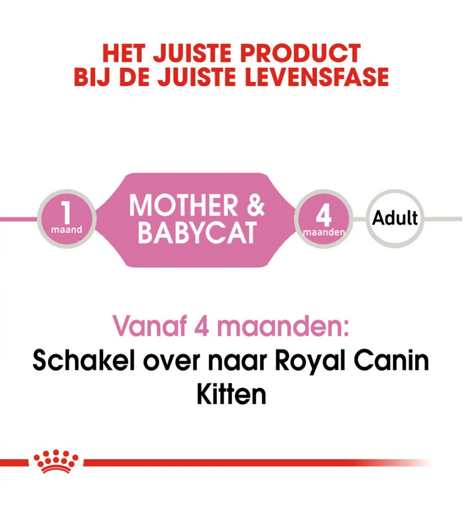 Royal Canin Mother & Babycat Mousse - 12 X 195 Gram 7 Royal Canin Mother & Babycat Mousse - 12 X 195 Gram - Afbeelding 5
