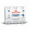 Royal Canin Recovery Liquid - 3 X 200 Ml 2 Royal Canin Recovery Liquid - 3 X 200 Ml -Dieren Product Winkel royal canin recovery liquid 3 x 200 ml