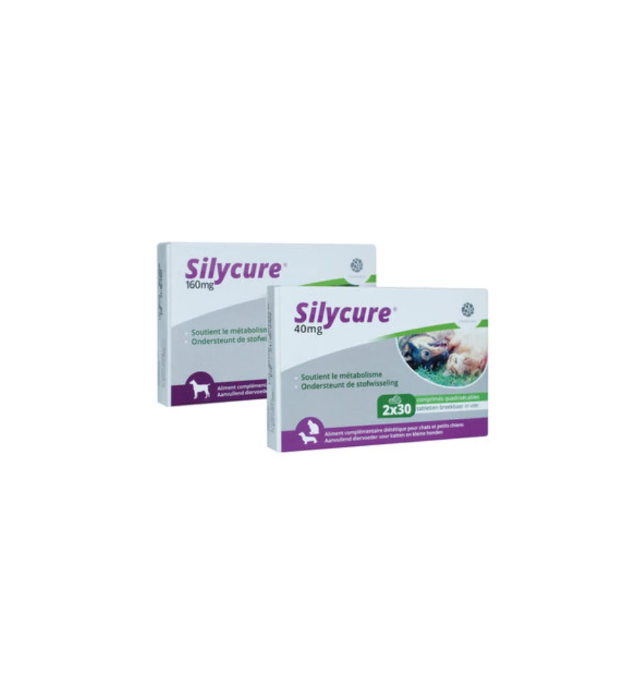 Silycure 40 Mg - 60 Tabletten 5 Silycure 40 Mg - 60 Tabletten - Afbeelding 3