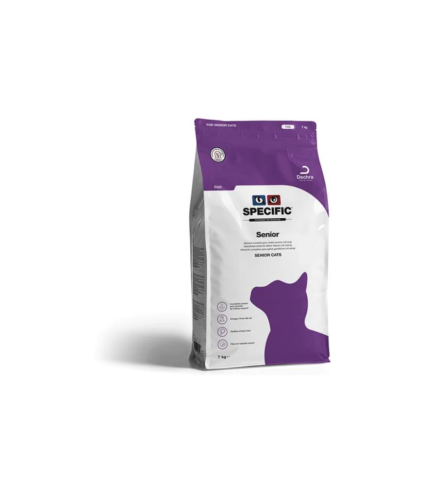 Specific Senior FGD 3 Specific Senior FGD