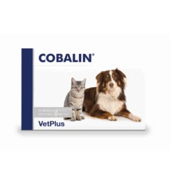 VetPlus Cobalin - 60 Capsules 7 VetPlus Cobalin - 60 Capsules -Dieren Product Winkel vetplus cobalin 60 capsules 2